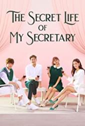 The Secret Life of My Secretary